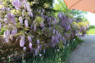 La Grange de La Ferdière - 7