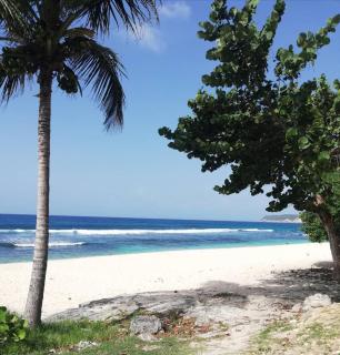 La Case Auvergnate - 6