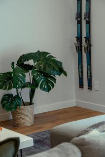 Central City Queenstown Retreat - 3 Bedroom Apartment - 3