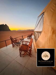 Rum Dreamland luxury camp - 2