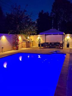Entire Luxurious Vaulted Haven with Pool - 3