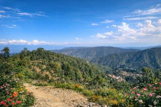 Nature's Heaven Cottage & Homestay, Mukteshwar - 3