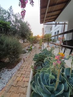 Olive Kaş Apart 1 - 7