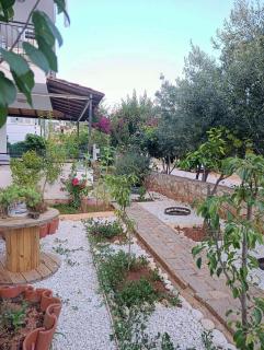 Olive Kaş Apart 1 - 0