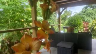 Domaine d'Éden Home & Cottage-Accès Rivière - 8