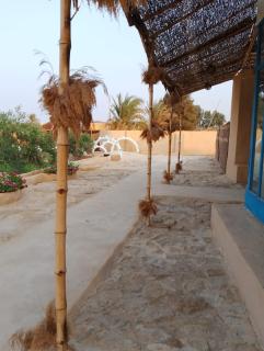 فندق دار الزيتون - 3