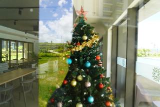 Minissy luxury Serviced Apartment - 8