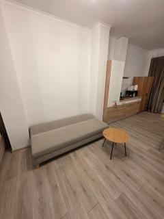 City Apartament Arad - 5