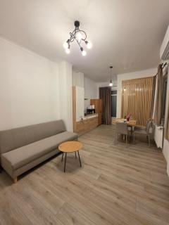 City Apartament Arad - 6