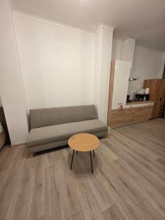 City Apartament Arad - 7
