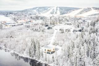 Luxury Villa Joutsenranta by the lake - 8