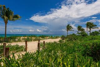 Coral Tide Escape - 9