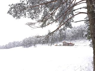 Borda Cucut-HUT4-08181 - 8