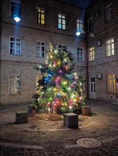 Magic Attic in Historical House - 9