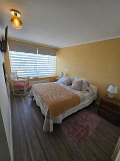 Delpino Propiedades Marina Casino 5 Poniente entre 4 y 5 Norte - 6