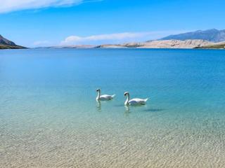 Apartment für 2 Personen - 1 Kind ca- 40 m² in Zubovici- Adriaküste Kroatien - Kroat by Interhome - 2