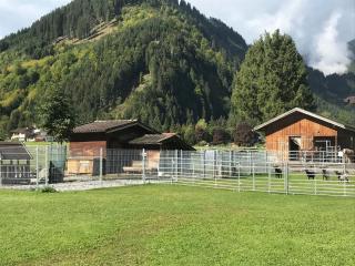 Apartment Pony-Ziegen-Hasen-Ranch in Bichlbach by Interhome - 7