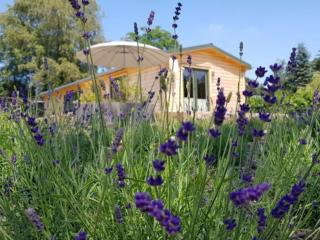 Holiday Home in Atzenhain mit Großer Terrasse by Interhome - 9