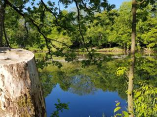 Holiday Home in Atzenhain mit Großer Terrasse by Interhome - 7