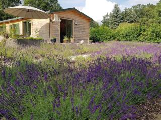 Holiday Home in Atzenhain mit Großer Terrasse by Interhome - 1