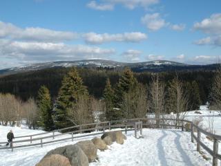 Apartment Appartement in Altenau mit Garten by Interhome - 2