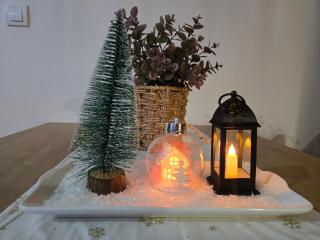 Verona Lakic Vrnjacka Banja - 8