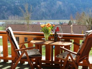 Apartment Gemütliche Ferienwohnung mit Blick auf die Donau by Interhome - 2