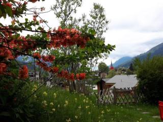 Apartment Ritz by Interhome - 8