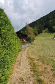 Apartment Ritz by Interhome - 3