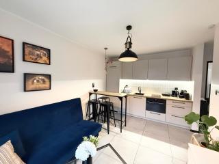 Apartament Kopalniok - 9