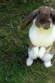 Apartment Farbhaus Bleiche by Interhome - 1