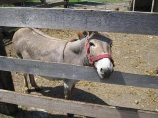 Apartment Farbhaus Bleiche by Interhome - 3