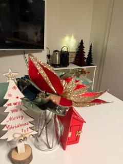 Casa Tuxedo-Comfort&Relax-A due passi dal centro - 9