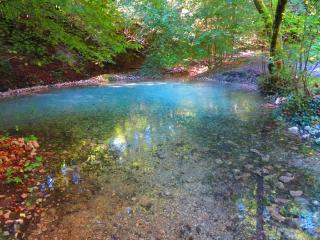 Comfort Room in Warmbad - 1