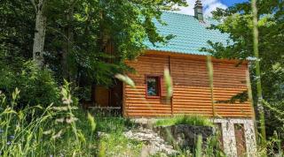 Apartmani Nikcevic Zabljak - 4