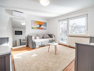 Grand Family Residence Ljubljana - 0