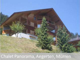 Apartment Panorama 2 Bett Wohnung by Interhome - 0