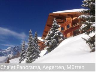 Apartment Panorama 2 Bett Wohnung by Interhome - 7