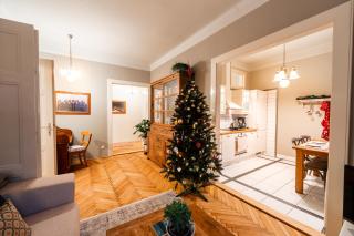 Charming Apartment in Haštalská - 1