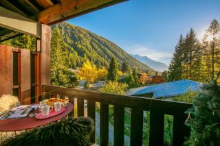 Résidence La Verte 23 ski in ski out - Happy Rentals - 9