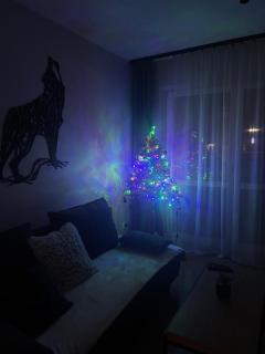 Perła Bieszczad 2 - 0