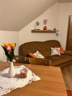 Apartmán u sjezdovky Chata Alfa - Černý Důl - 6