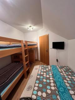 Apartmán u sjezdovky Chata Alfa - Černý Důl - 1