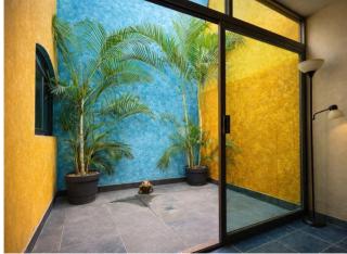 4minutos al centro PARA 12, personas 10 en cama y 2en sofa En Promoción - Tequila - 2