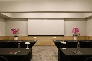 Fiesta Inn Monterrey Valle - 7