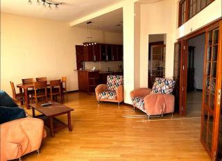 Central Opera Apartment Yerevan - 0