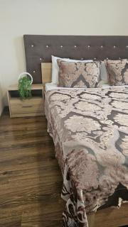 Beautiful Mountain View Apartment - 7