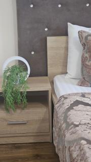 Beautiful Mountain View Apartment - 8