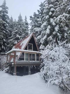 Bergstrasse Getaway - Cozy A-Frame Sauna - 0