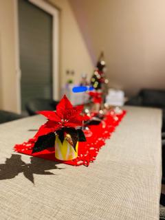 Nido Vela Appartement - 3